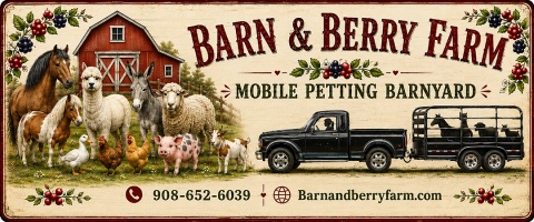 Barn & Berry Farm