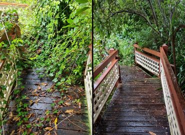 Before and after of garden pruning and tidy