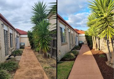 Before and after of garden makeover and pressure wash