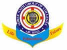 SHREE NATH GROUP OF COLLEGES