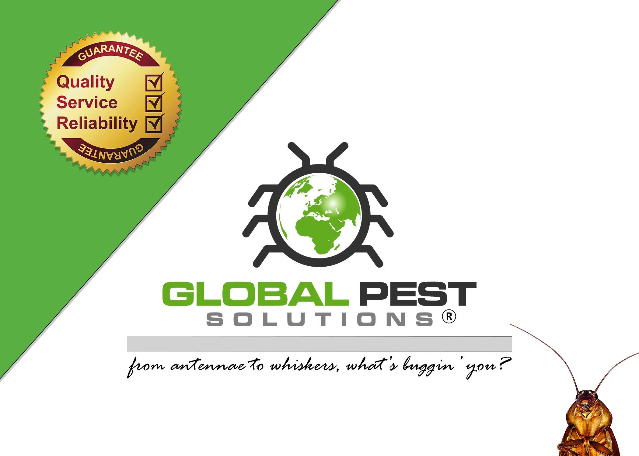 Global Pest Solutions
