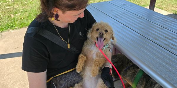 A smiling person holds a happy small dog with its tongue out under a picnic table.