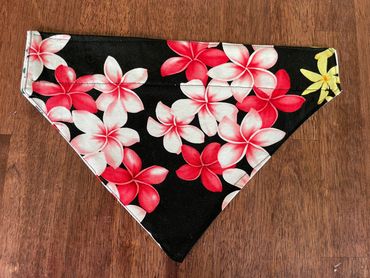 Beautiful Flowers on Black Background