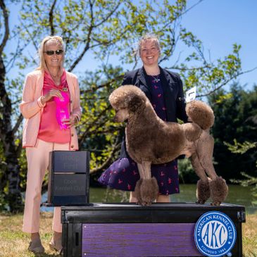 Two women posing with a well-groomed brown poodle outdoors.