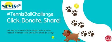 #TennisBallChallenge to support medical care for pets in Nevis.