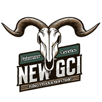 New GCI