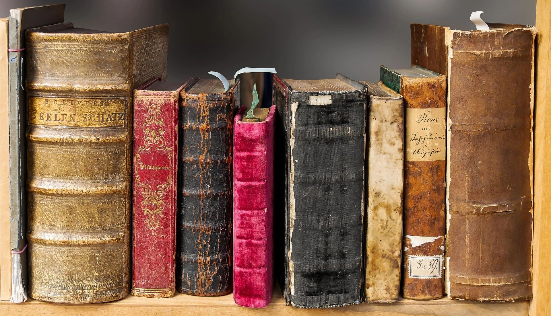 Book spines on a shelf