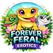 Forever Feral Exotics