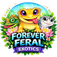 Forever Feral Exotics