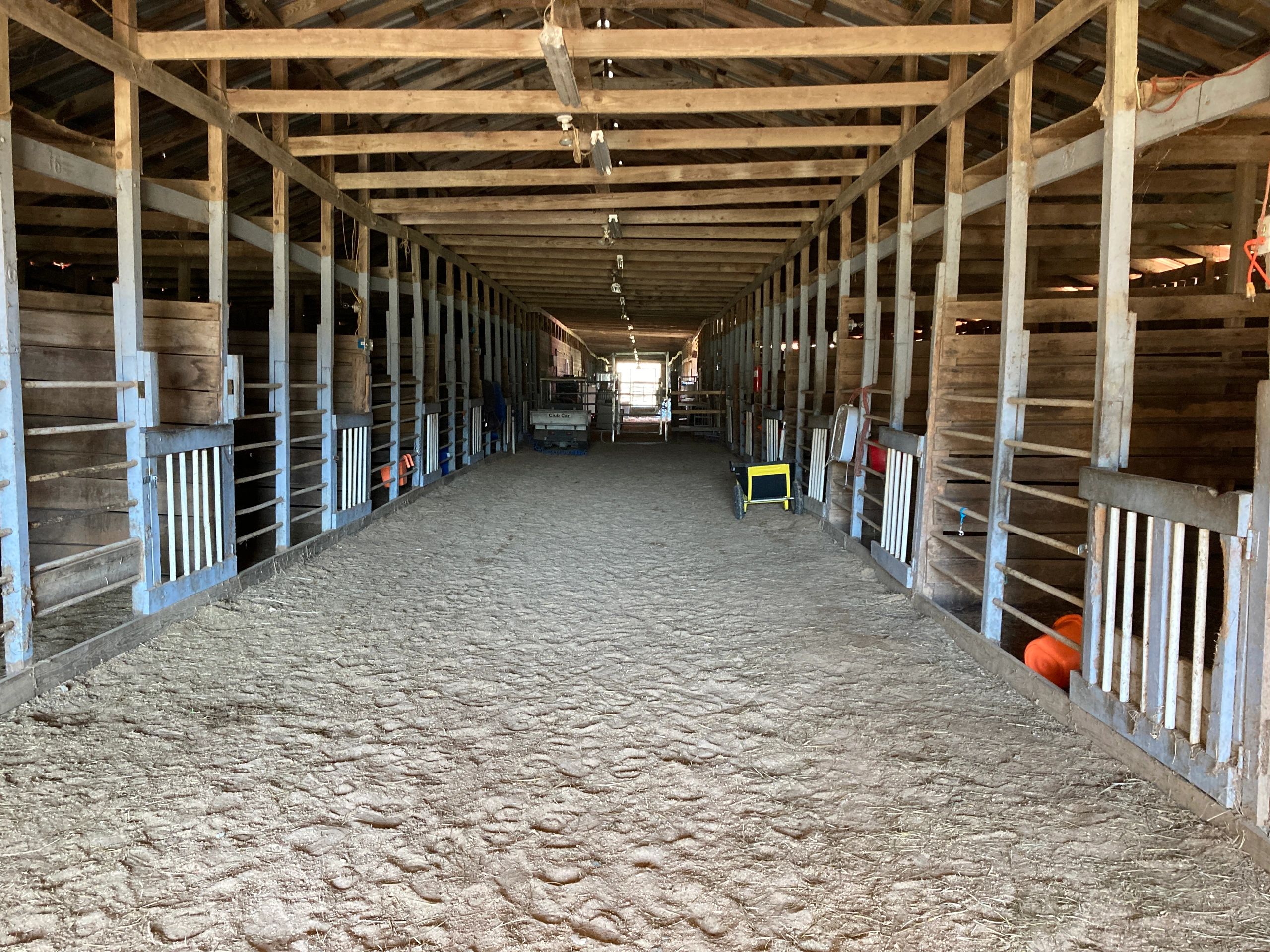 Horse, Boarding Marshall Ranch & Rescue Jackson, Mississippi