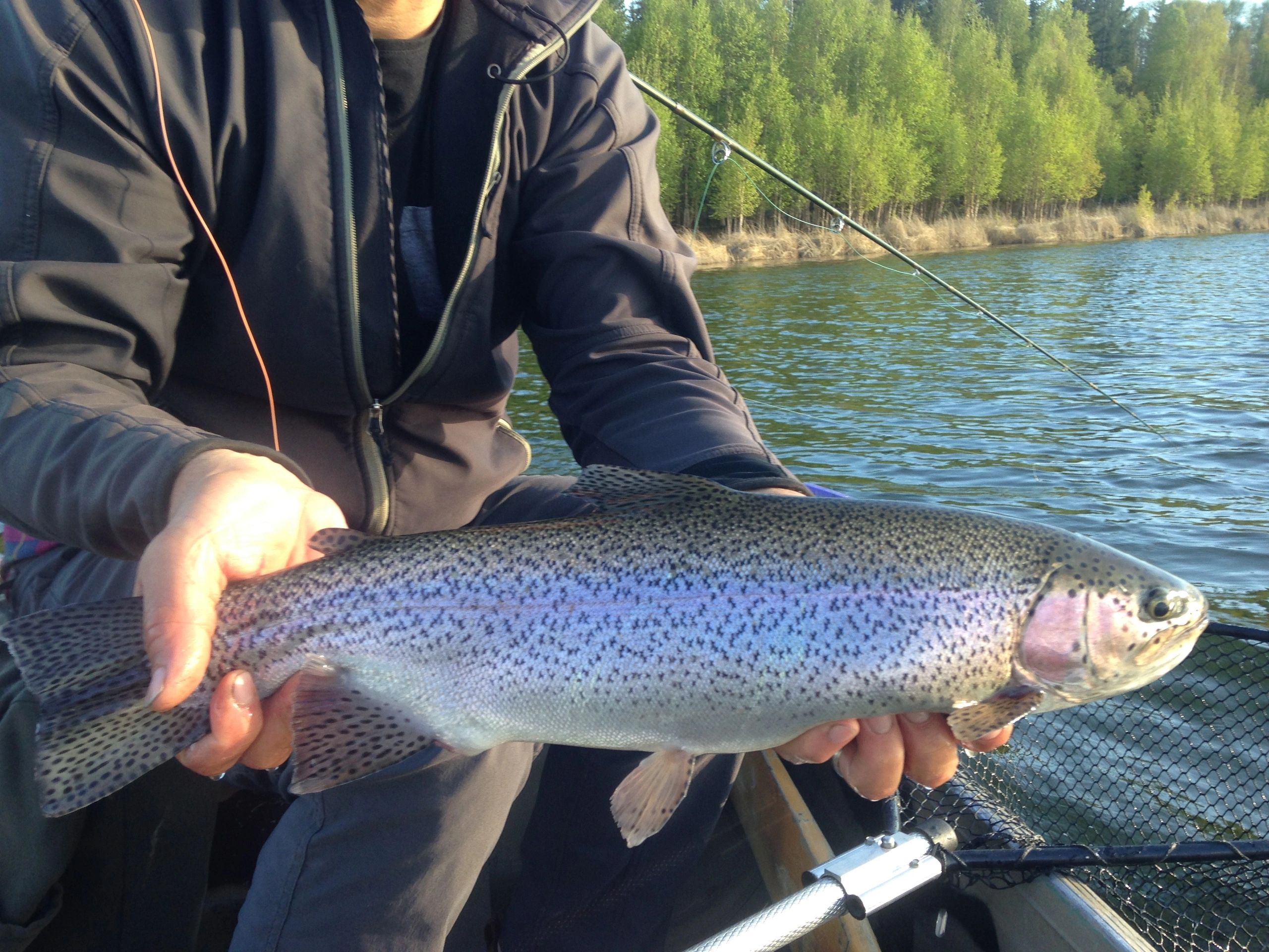 Alberta Competitive Fly Fishing