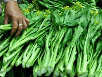 迪拜溢满华人农场蔬菜种植、迪拜溢满农场，专业种植中国各种绿色叶子蔬菜种植