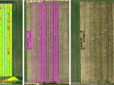 Multispectral crop mapping