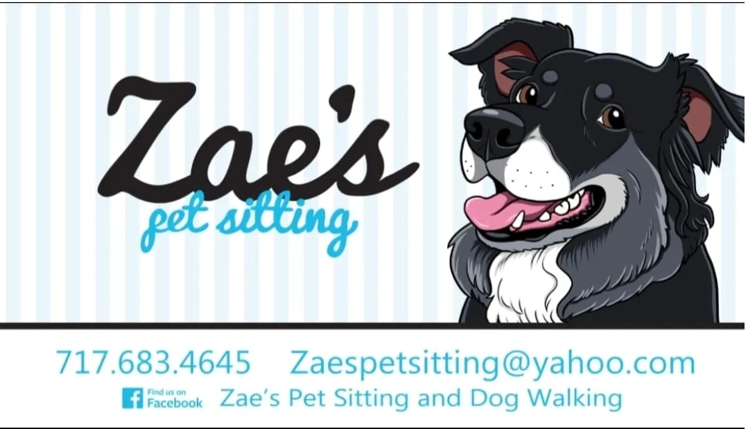 Zae s Pet Sitting Dog Walking