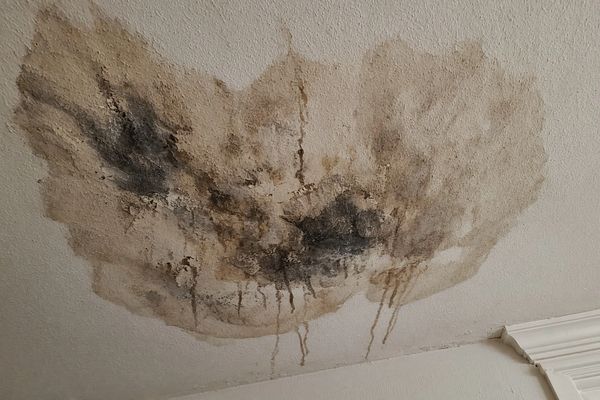 Large water stain and mold on ceiling.