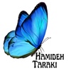Hamideh Taraki
 Life Coach & 
Theta Healing Instructor 