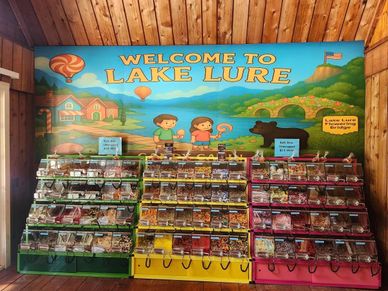 One of the walls of bulk candy