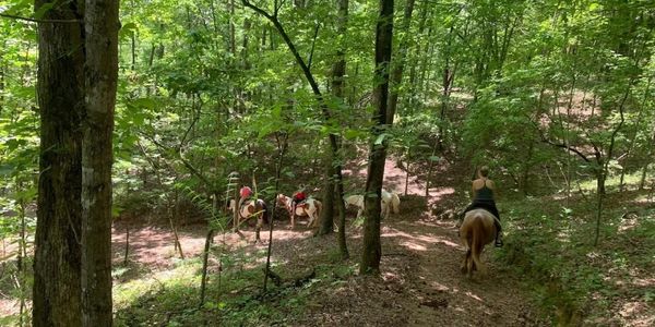 Horseback riders on a mountain trail