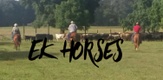 EK Horses 