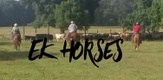 EK Horses 