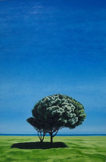 Solitary tree below blue sky