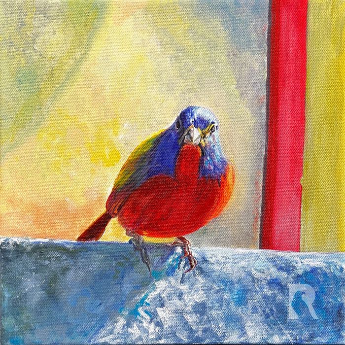 "Perched Painted Bunting II", (2024).
Framed acrylic on canvas, 10 x 10 in.