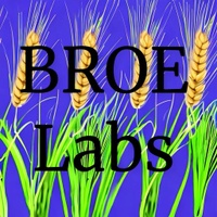 BROE Labs