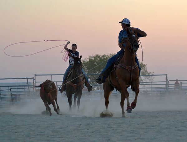 Team Roping