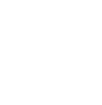 GEORGIA BEER CO