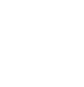 GEORGIA BEER CO