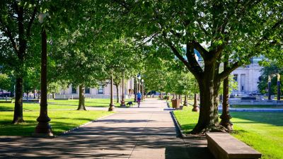 Tree-lined walkway in a park with benches and lamp posts.