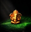Shri Ganesh cloth distributors 
