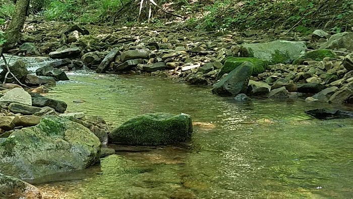 Psychotherapy mental health therapy psychotherapist office Pittsburgh Uniontown 15401