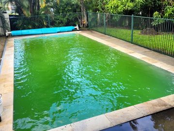 Green swimming pool before green pool treatment 