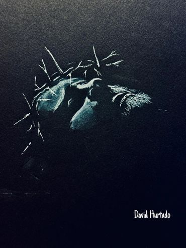 Minimalistic white sketch of a face with thorns on black paper.