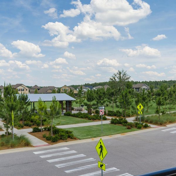WESLEY CHAPEL, FL & SURROUNDING TOWNS
SAN ANTONIO, LAND O LAKES, LUTZ, DADE CITY, ZEPHYRHILLS