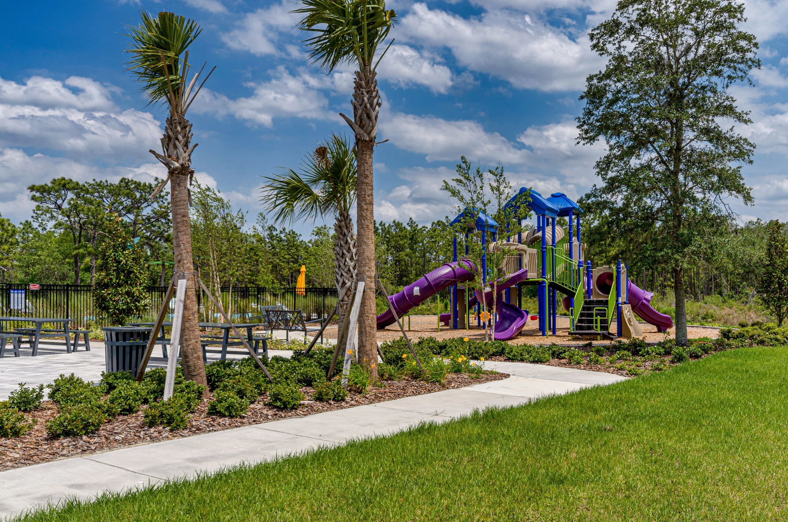 WesleyChapel_AvalonParkWesleyChapel_MainPlayground_yvettefuertesrealtor