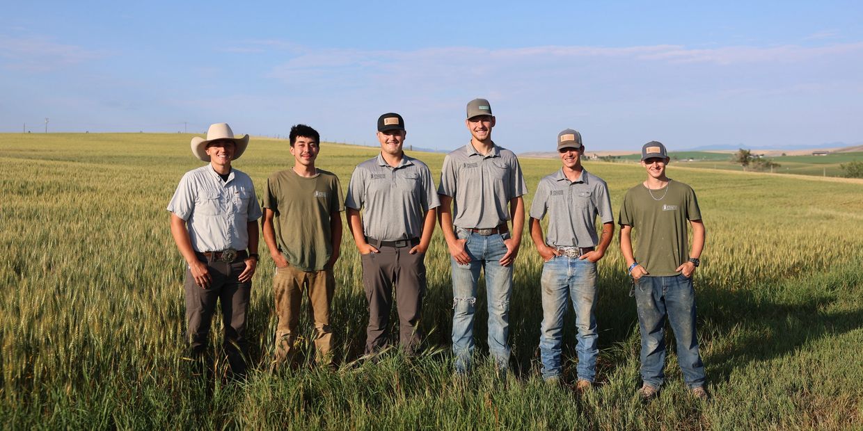 Six young men standing in a field under a blue sky.
