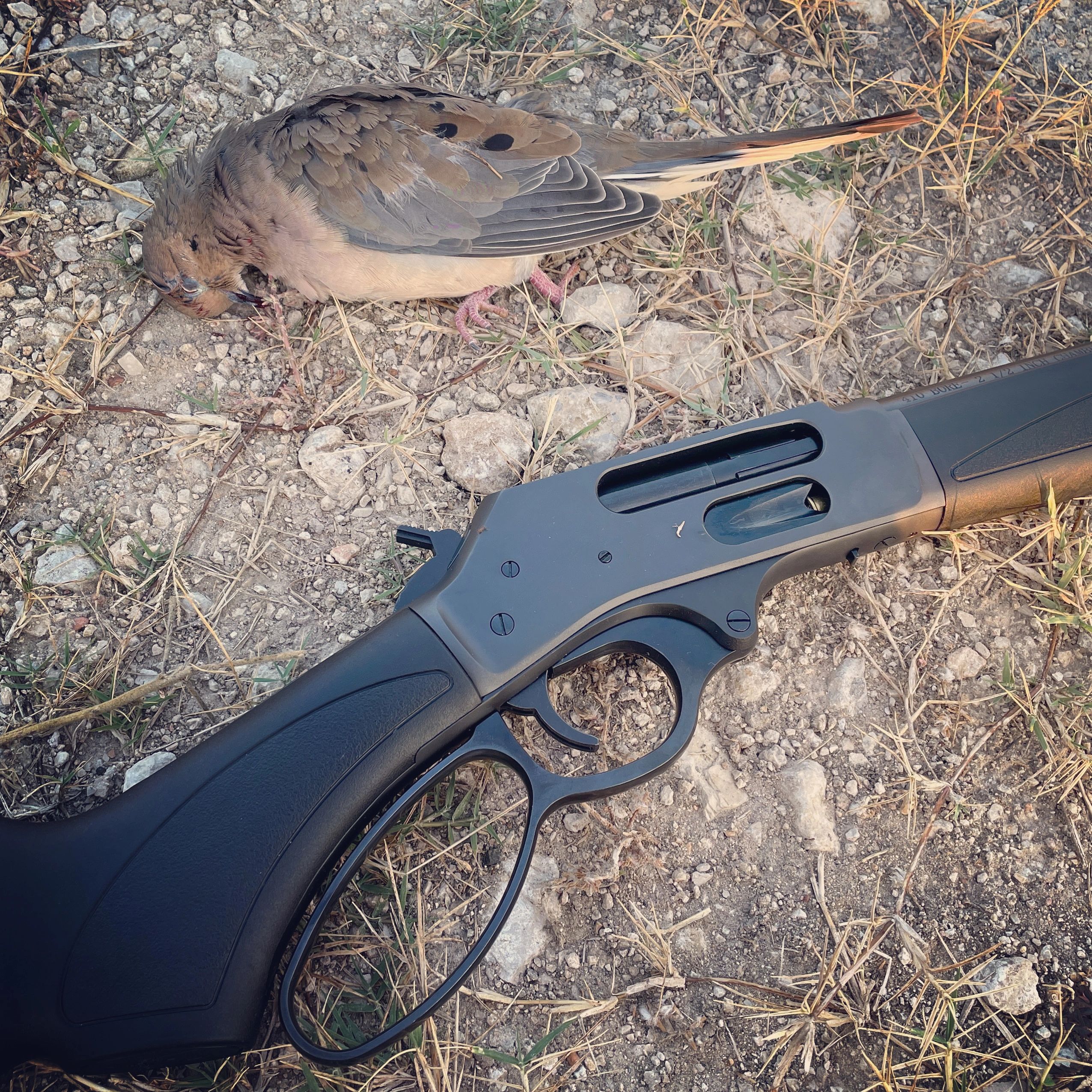 Dove Hunting with a Levergun
