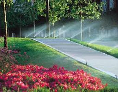 spray zone watering properly