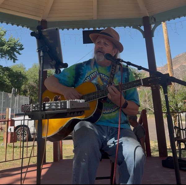 Man playing guitar and singing under a gazebo on a sunny day.