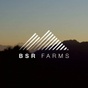 BSR Farms Resort