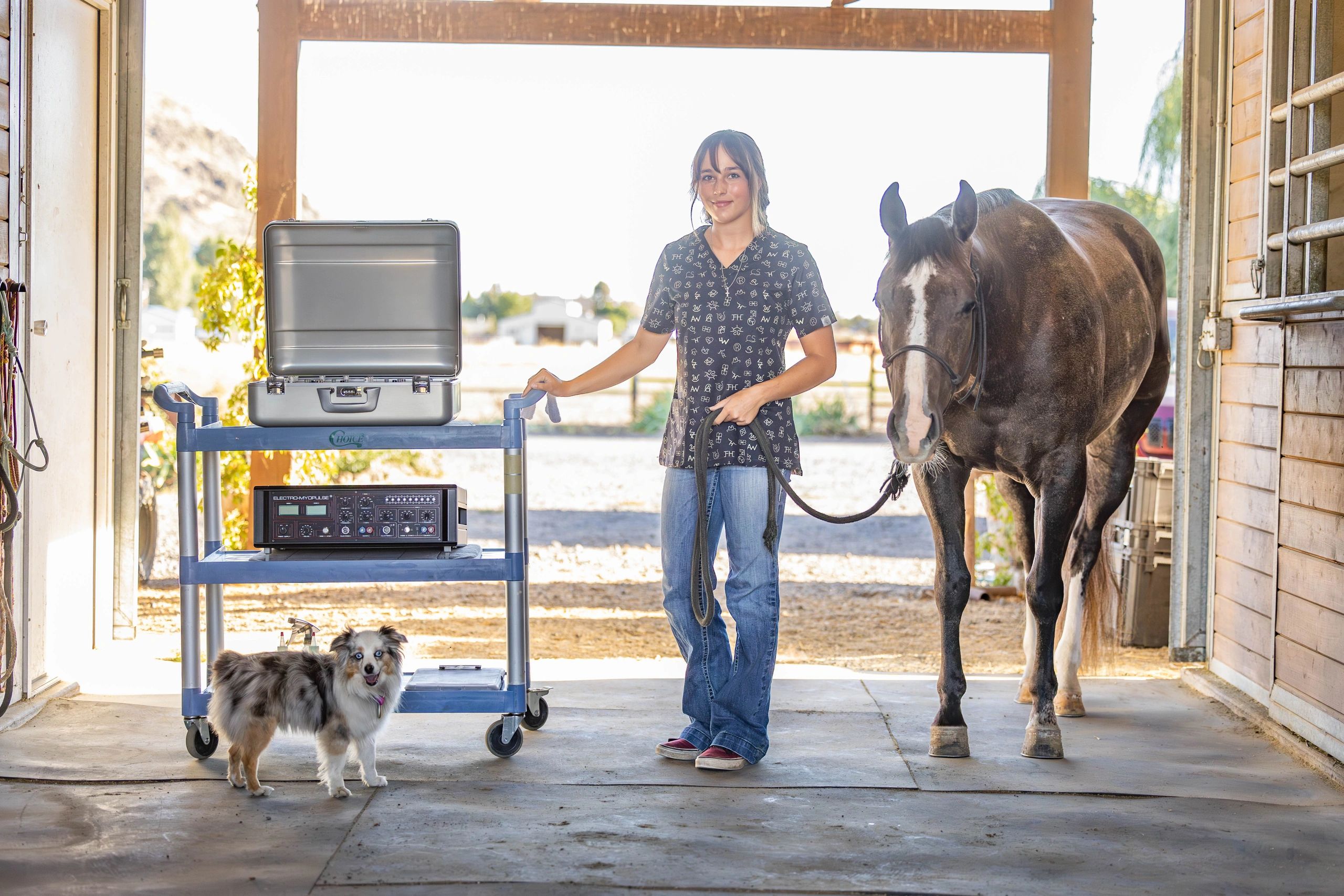 WOW Equine Therapy