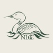 Northern Loon