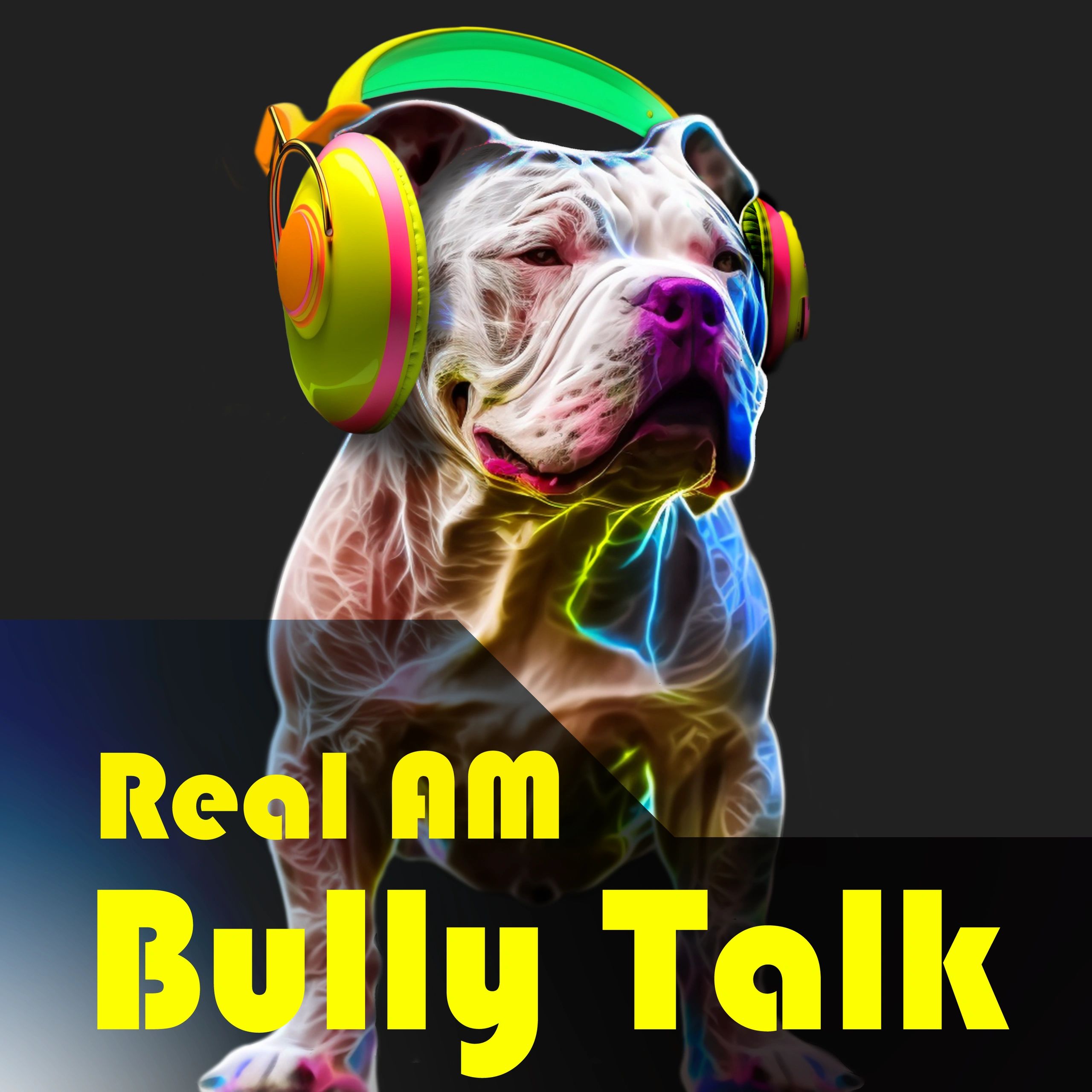 Real AM Bully Talk American Bully Dogs Breeders Bully Breeds Podcast real-am-bully-talk-american-bully-dogs-breeders-bully-breeds-podcast