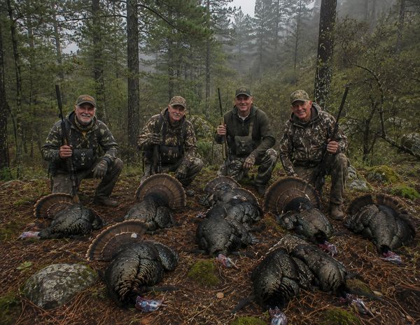Cuatro cazadores con pavos muertos.