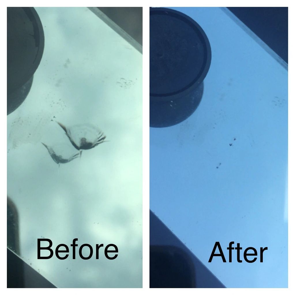 Windscreen repair results 