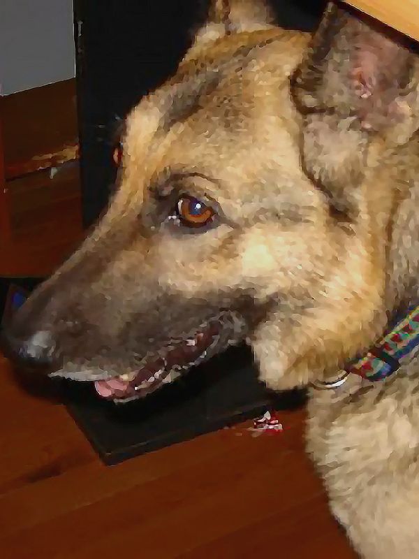 Precious Toshsi. You may not be here, physically, with us, but we know you're here with us in spirit