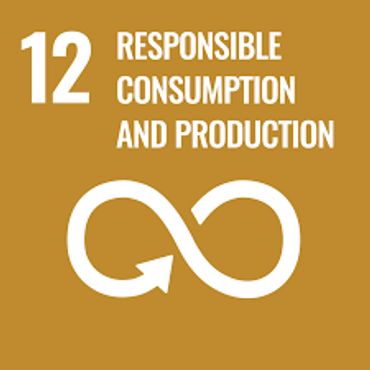 Responsible Consumption and Production
Existing Solutions: AI is used in supply chain optimization a