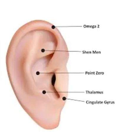 Diagram of an ear showing acupuncture points like Omega 2, Shen Men, Point Zero, Thalamus, and Cingulate Gyrus.